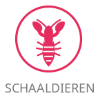 Schaaldieren