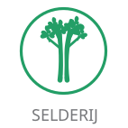 Selderij