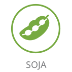 Soja