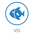 Vis