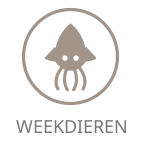 Weekdieren